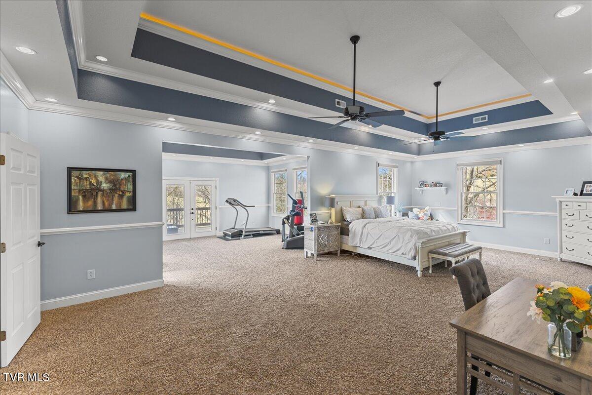 225 Mary Lamons Road Afton, TN 37616 - Photo 52 of 106 043-128A4113