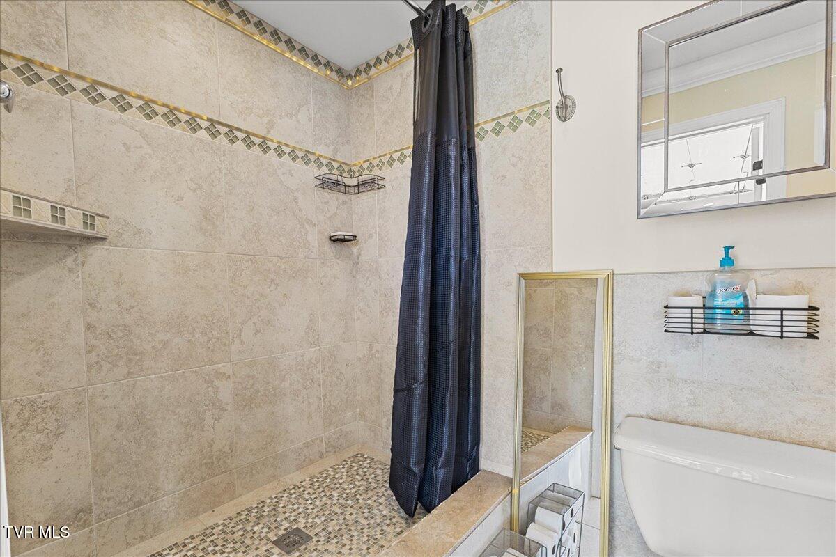 225 Mary Lamons Road Afton, TN 37616 - Photo 75 of 106 065-128A4220