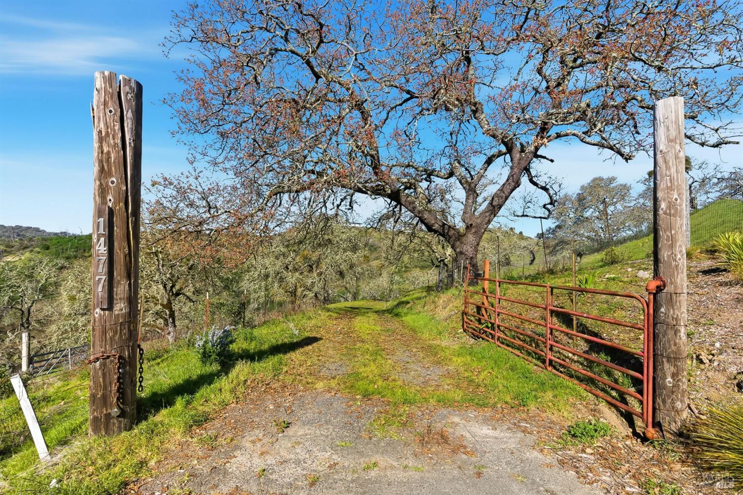 1477 Leslie Road Healdsburg, CA 95448 - Photo 11 of 40 a view of a yard with plants and wooden fence