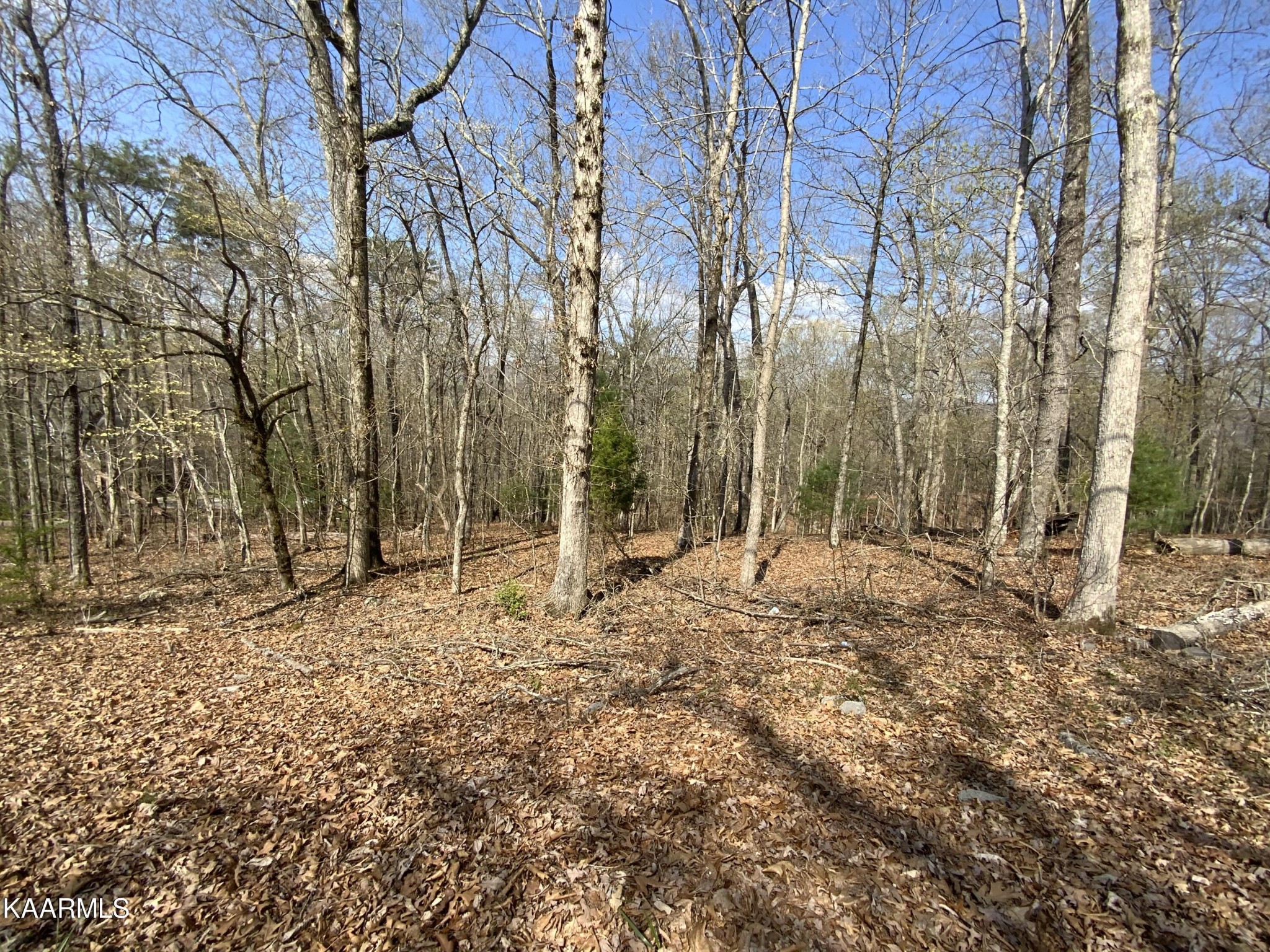 0 Rendezvous Road Rockwood, TN 37854 - Photo 1 of 5 Gallery Image 1