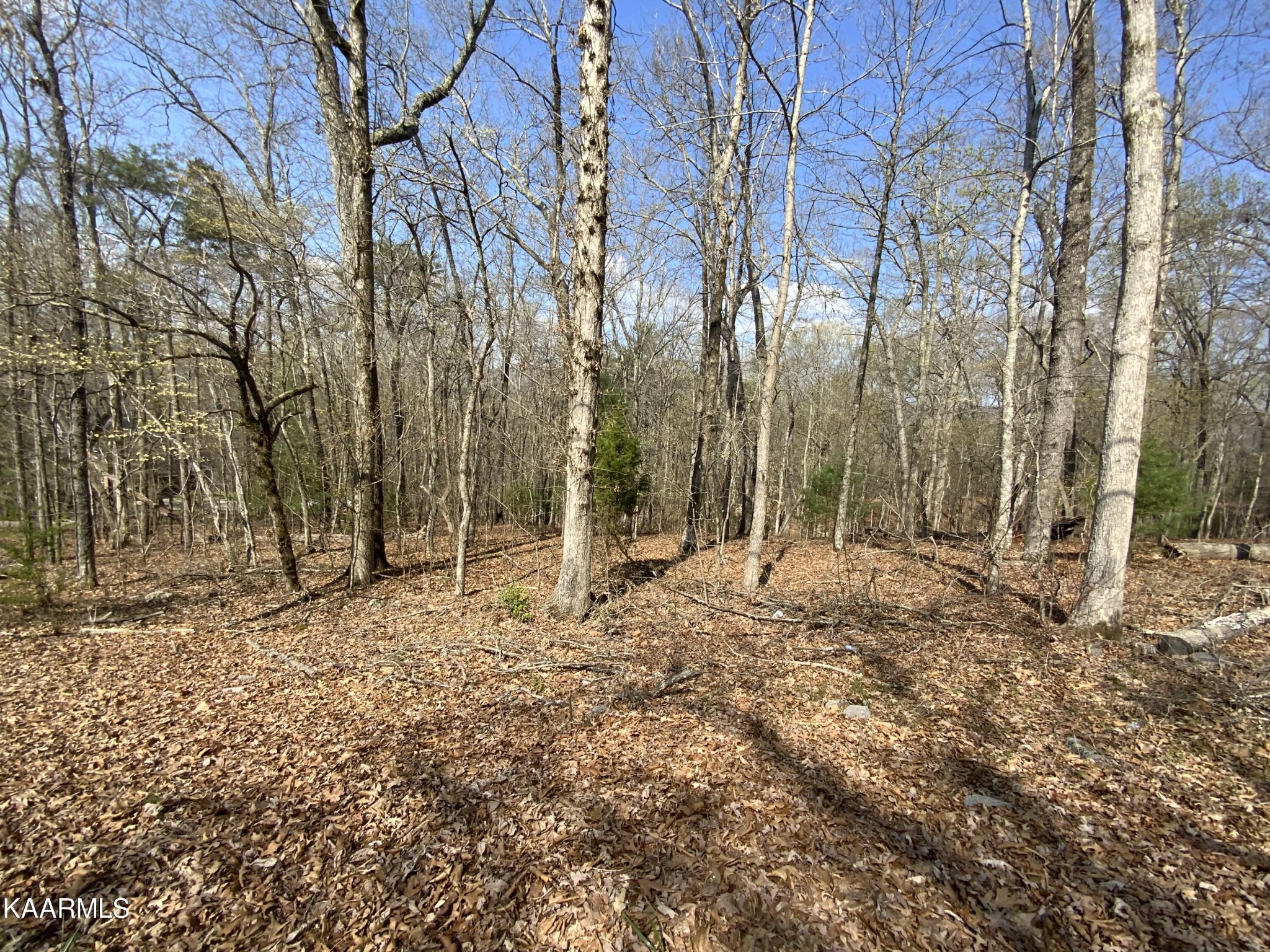 0 Rendezvous Road Rockwood, TN 37854 - Photo 2 of 5 Gallery Image 2