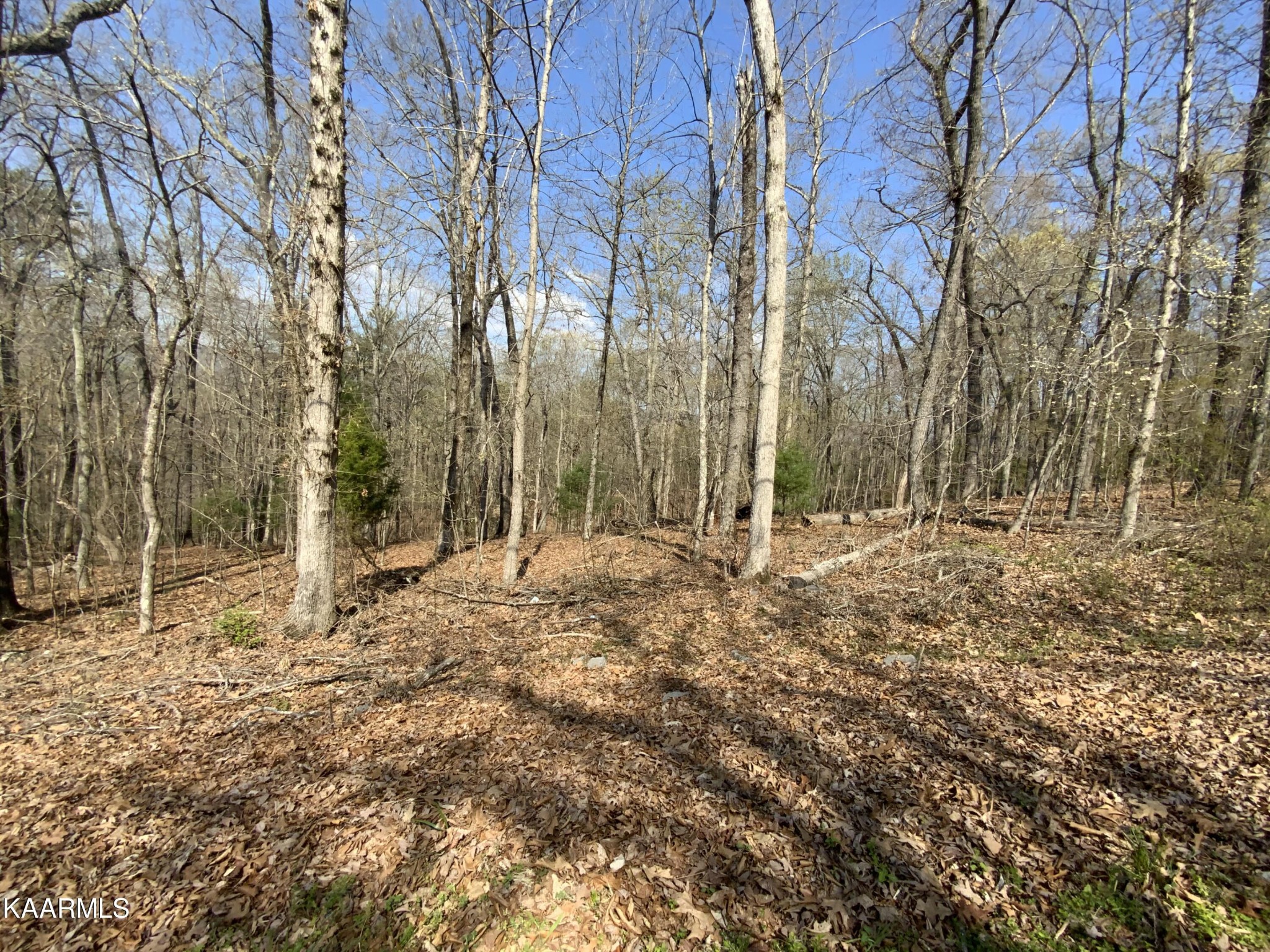 0 Rendezvous Road Rockwood, TN 37854 - Photo 3 of 5 Gallery Image 3