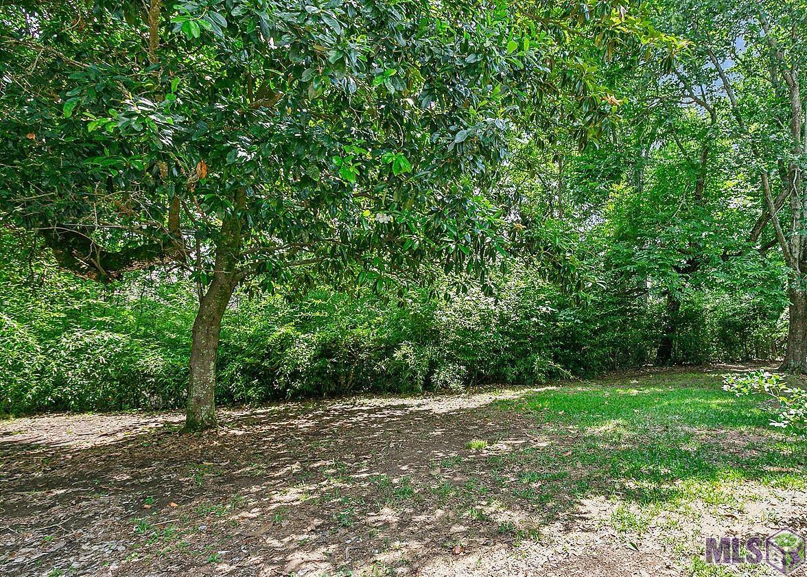 9736 Regency Drive Baton Rouge, LA 70815 - Photo 18 of 19 BackYard