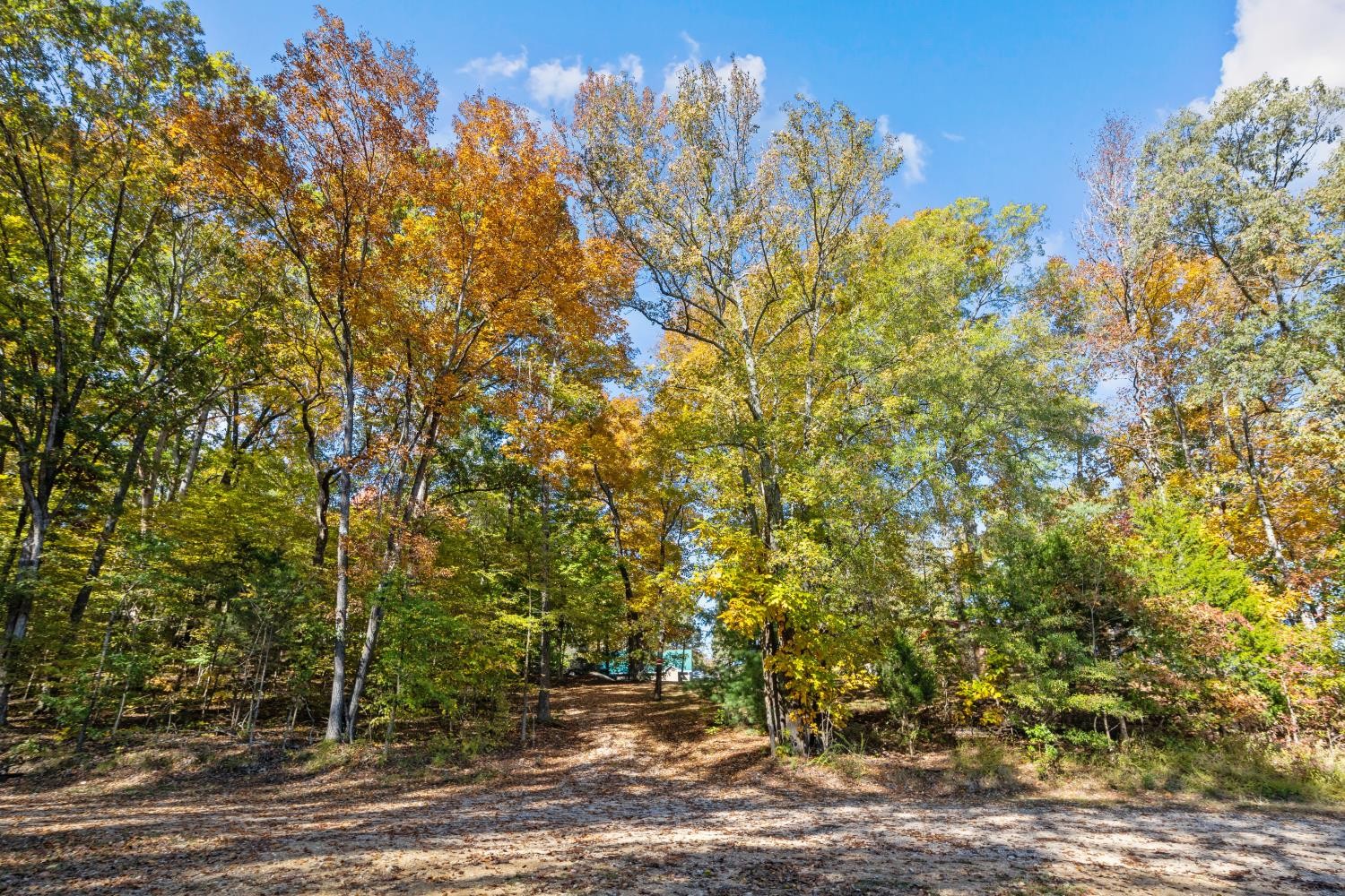 0 Stirling Road Camden, TN 38320 - Photo 3 of 41 a view of outdoor space and yard