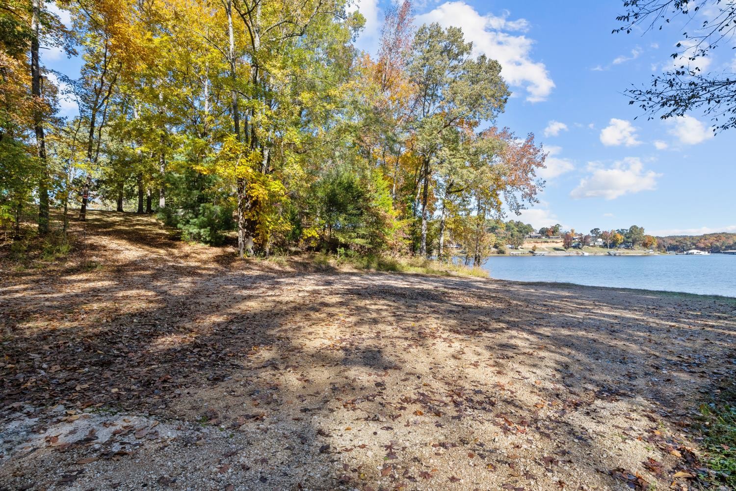 0 Stirling Road Camden, TN 38320 - Photo 39 of 41 a view of dirt field with trees around