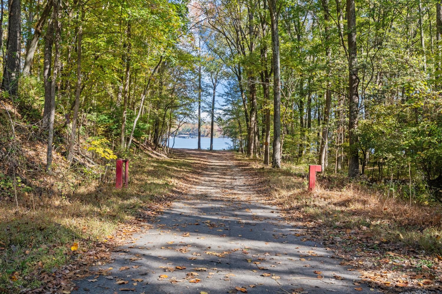 0 Stirling Road Camden, TN 38320 - Photo 40 of 41 a view of a yard with plants and trees