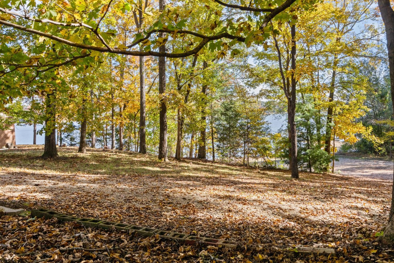 0 Stirling Road Camden, TN 38320 - Photo 4 of 41 a view of park with large trees