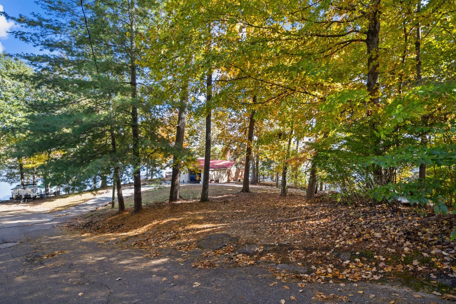 0 Stirling Road Camden, TN 38320 - Photo 6 of 41 a view of road with trees