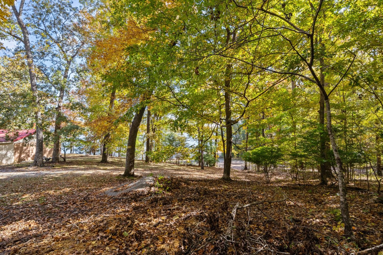 0 Stirling Road Camden, TN 38320 - Photo 9 of 41 a view of dirt yard with a tree