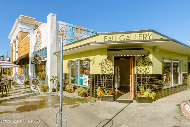 a close up of a wall with a palm plant