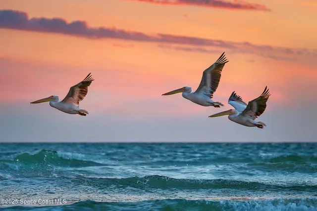 $294,900 | 1948 Barkley Avenue, Melbourne, FL 32935