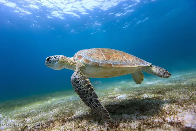 $264,500 | 1948 Barkley Avenue, Melbourne, FL 32935