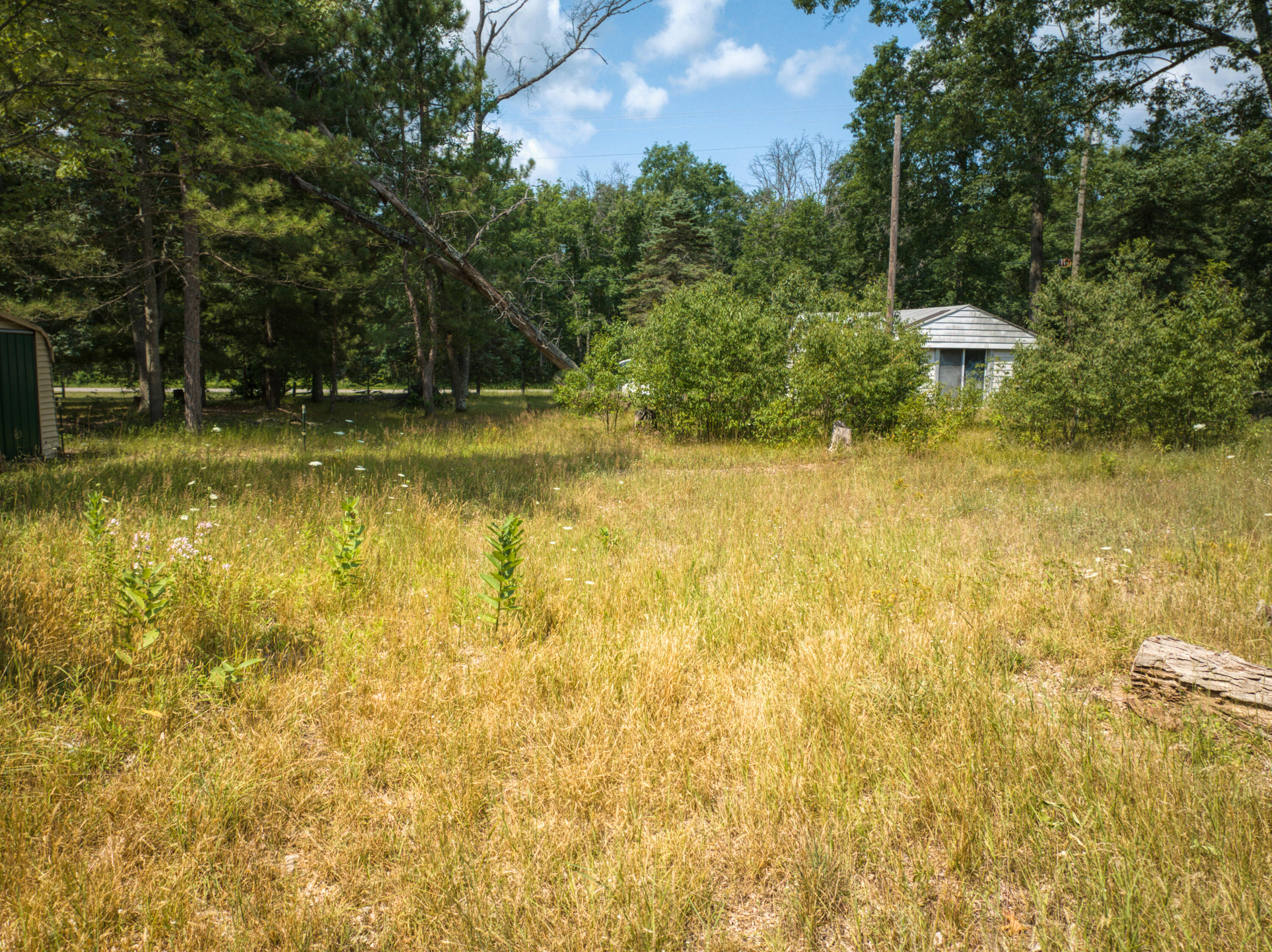 10130 North Brooks Road Irons, MI 49644 - Photo 10 of 20 Back Property View