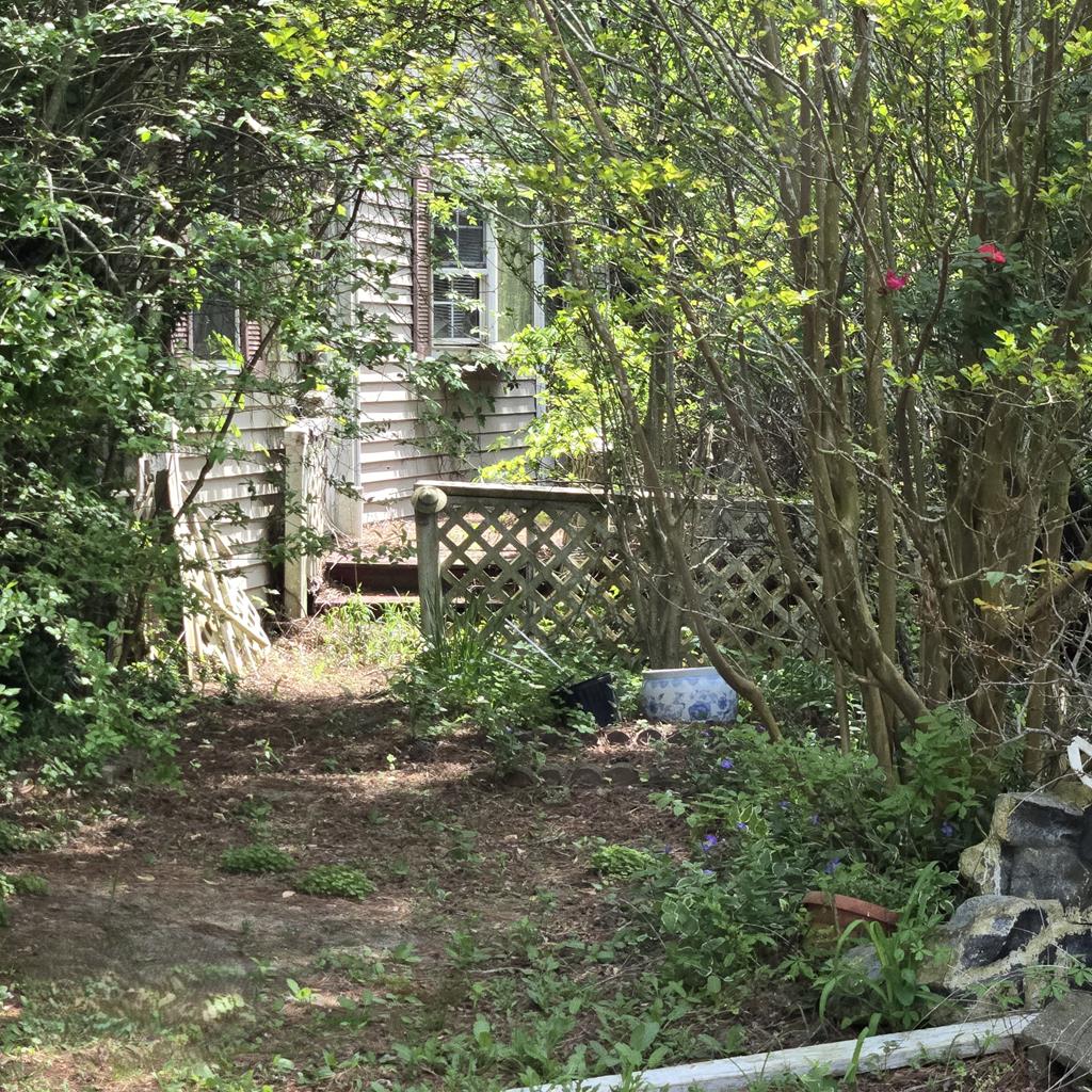 27282 Cheapside Road Cape Charles, VA 23310 - Photo 4 of 16 a backyard of a building with lots of trees