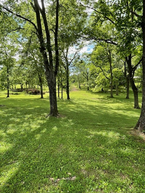 918 Cothran Road Columbia, TN 38401 - Photo 46 of 46 Gallery Image 46