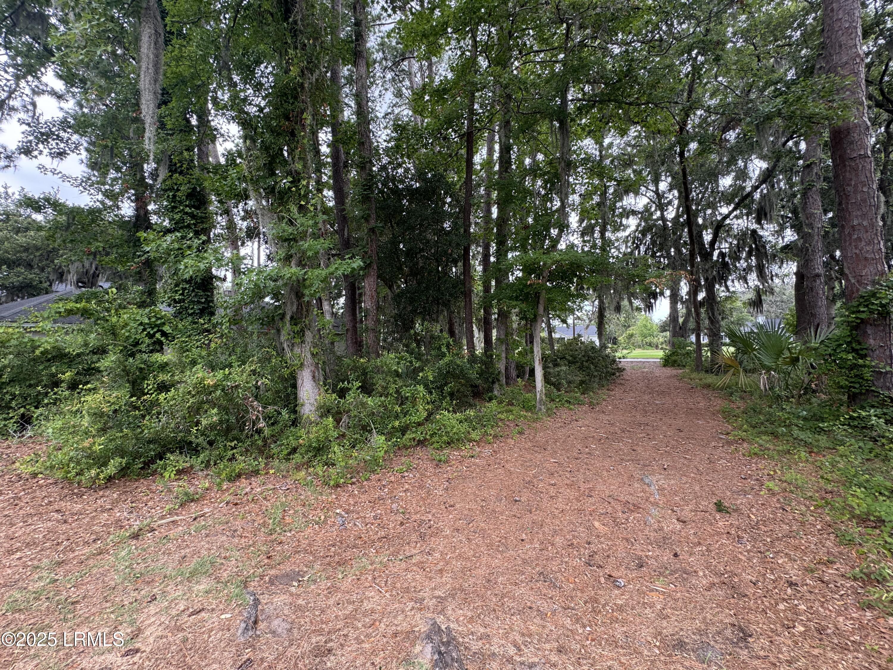 58 South Boone Road St. Helena Island, SC 29920 - Photo 3 of 4 IMG_5183