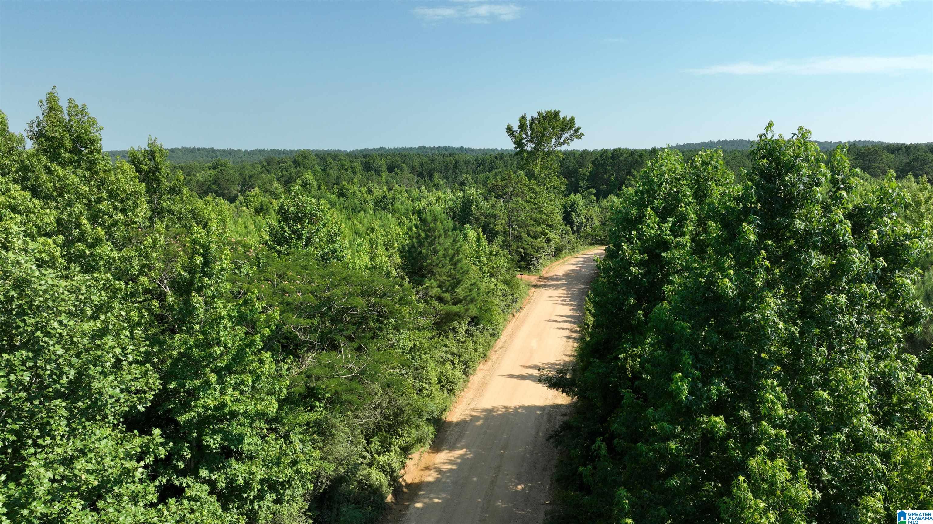 2 County Road 253, Unit 2 Clanton, AL 35046 - Photo 15 of 40