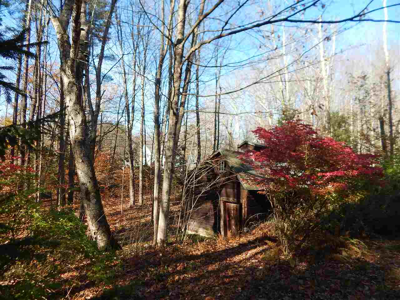 9 Wilbur Road Surry, NH 03431 - Photo 2 of 8