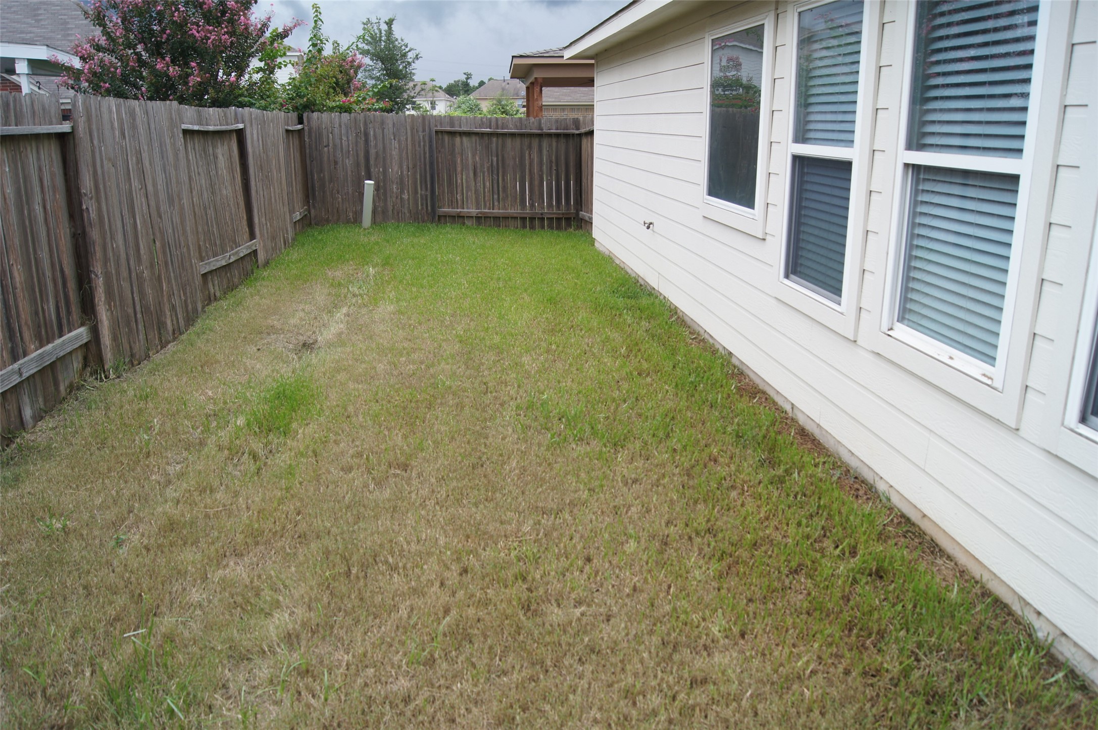 22411 High Point Pines Drive Spring, TX 77373 - Photo 12 of 12 Low maintenace back yard.