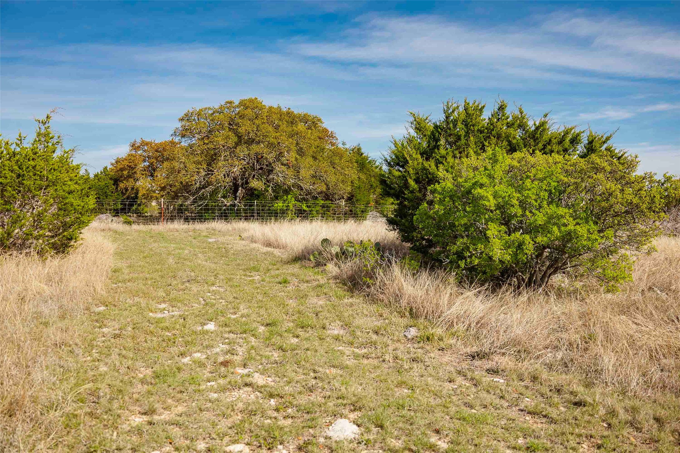 Tbd Saddle Ridge Drive Bertram, TX 78605 - Photo 24 of 40 View of undeveloped land