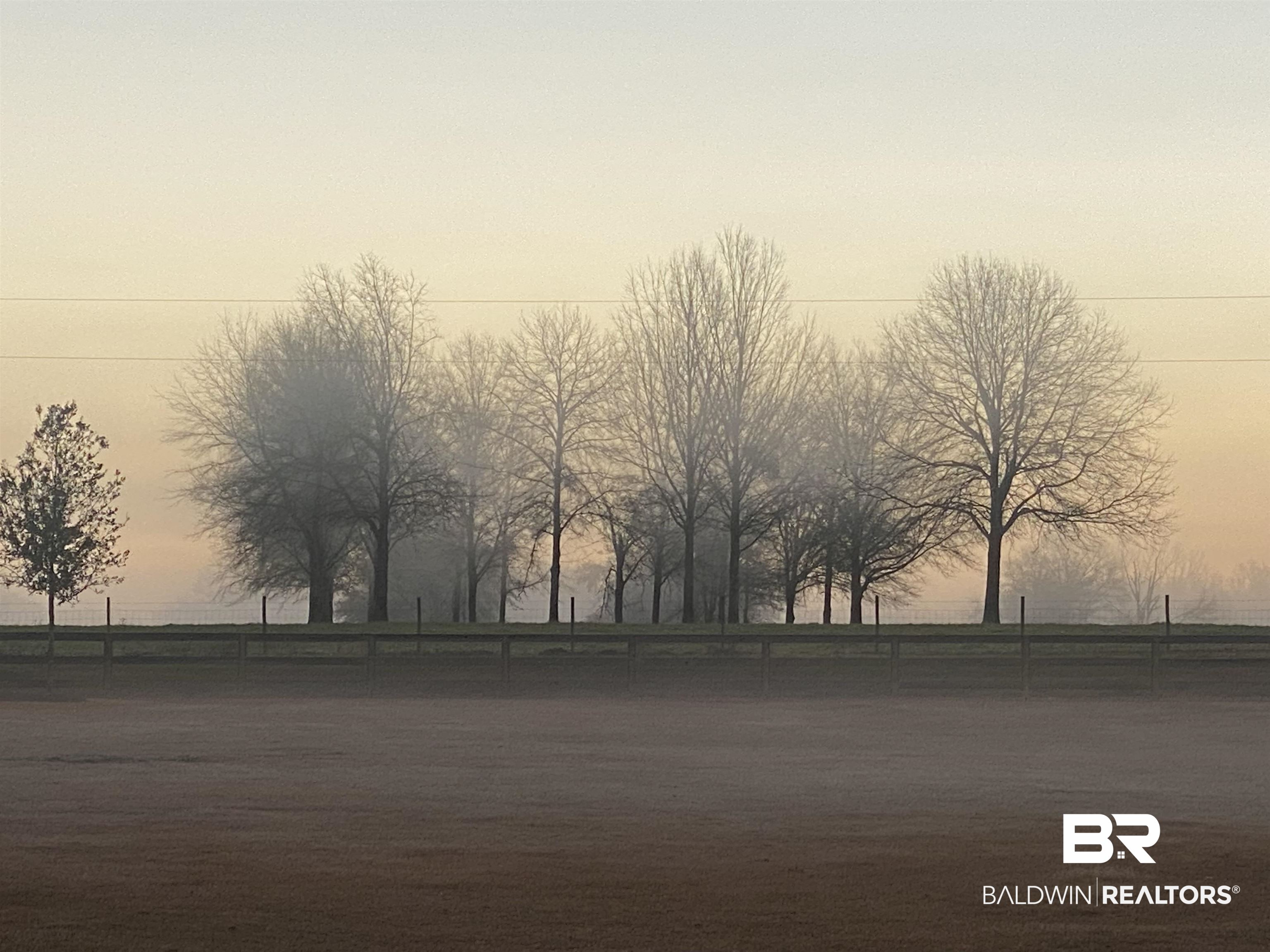 17561 County Road 55 Silverhill, AL 36576 - Photo 43 of 50 Morning Fog