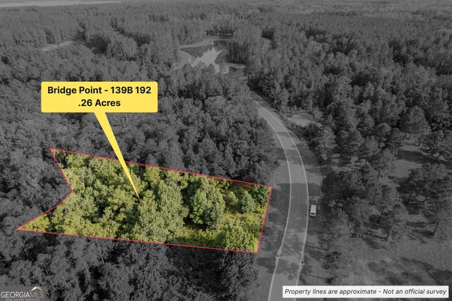 $20,000 | Lot 192 Bridge View Lane, Waverly, GA 31565