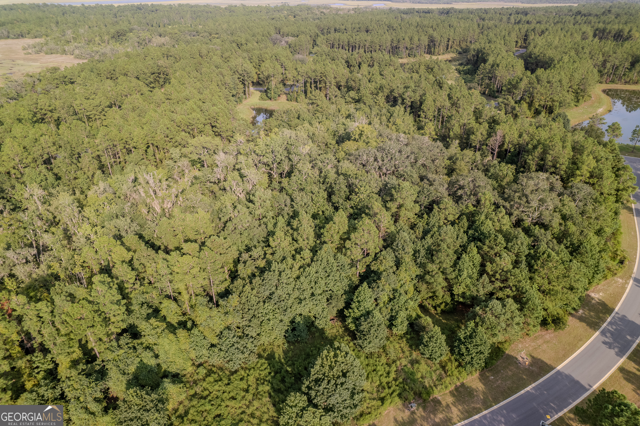 Lot 192 Bridge View Lane Waverly, GA 31565 - Photo 11 of 29