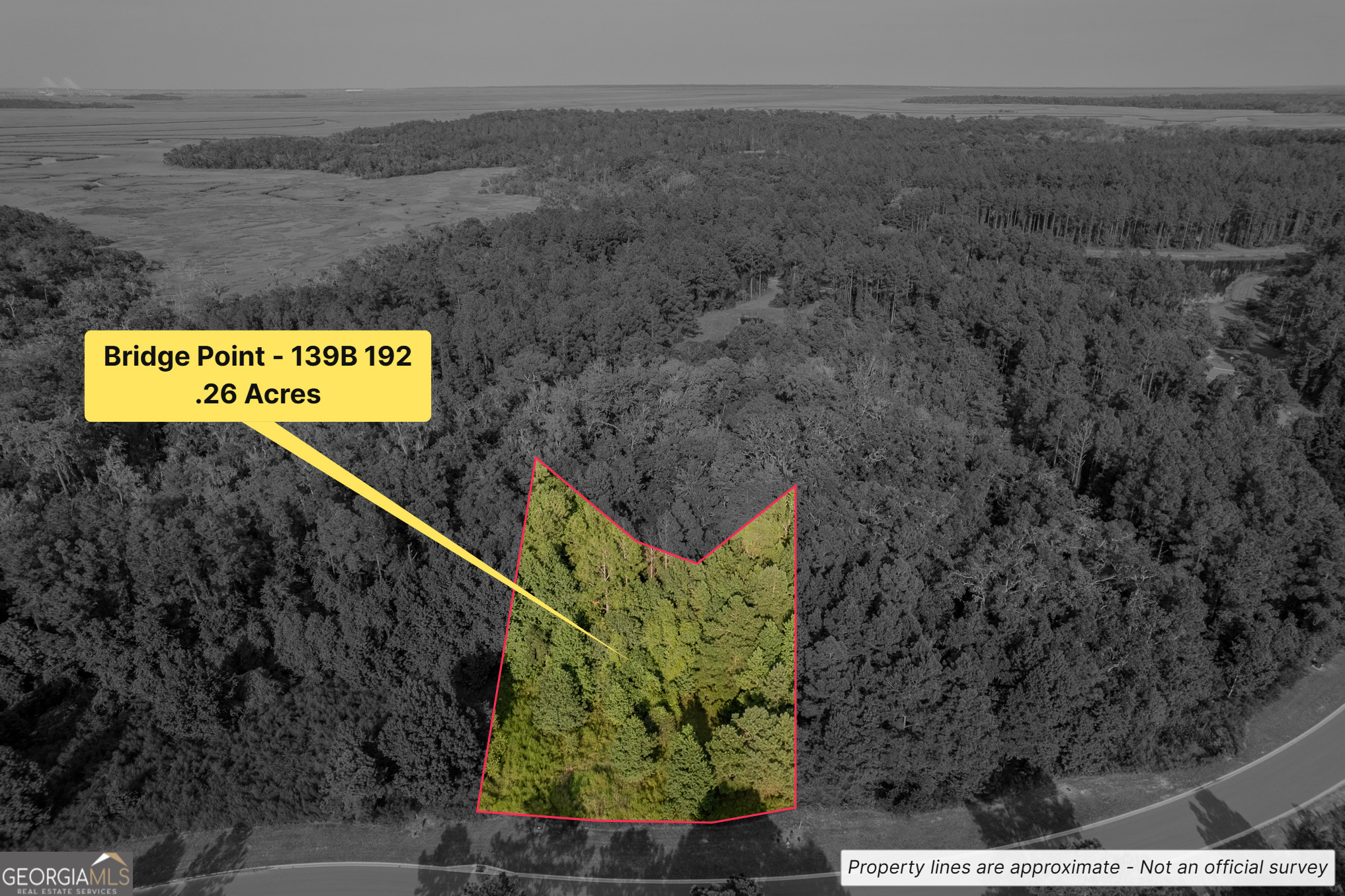 Lot 192 Bridge View Lane Waverly, GA 31565 - Photo 2 of 29