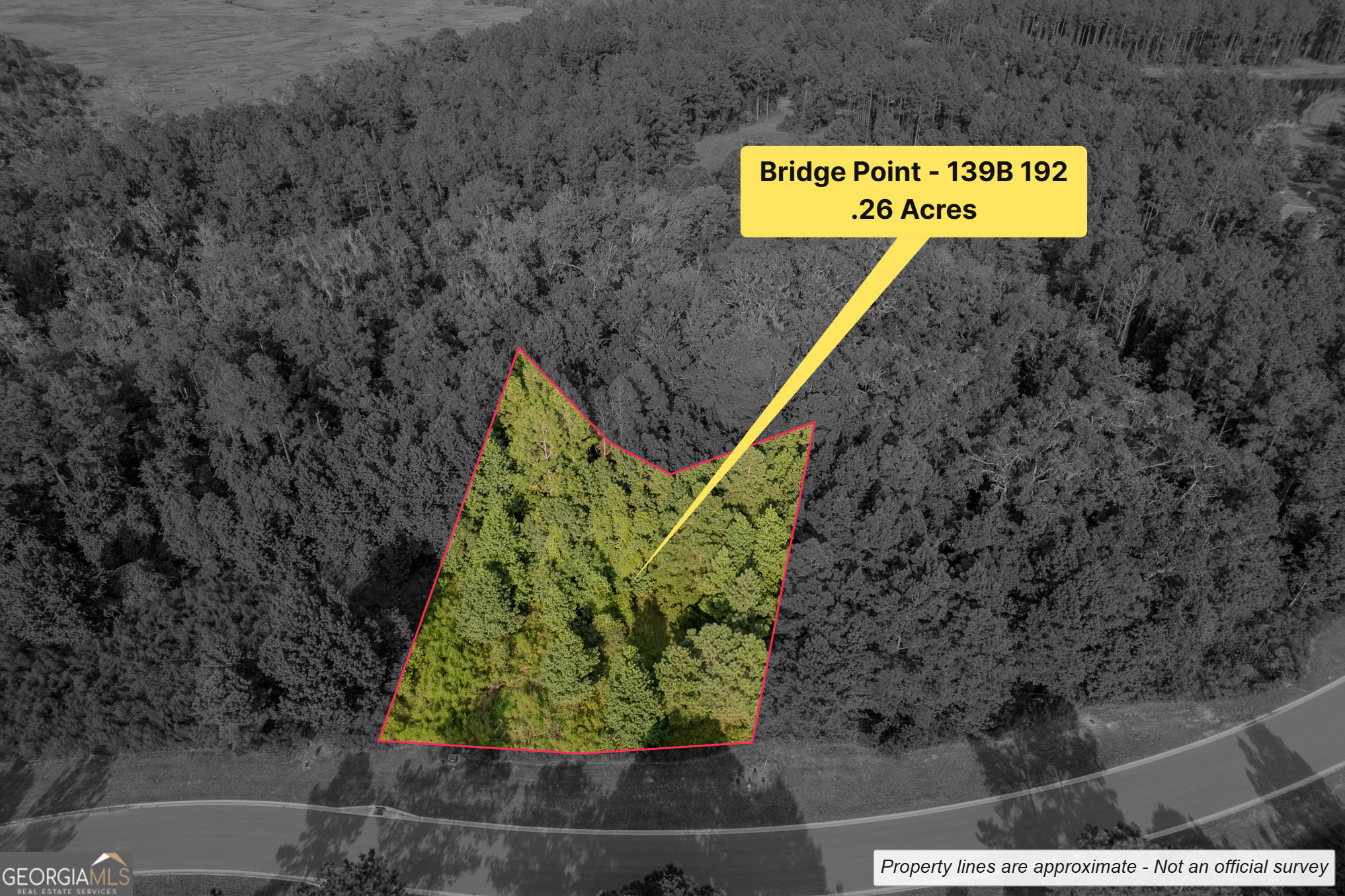 Lot 192 Bridge View Lane Waverly, GA 31565 - Photo 3 of 29