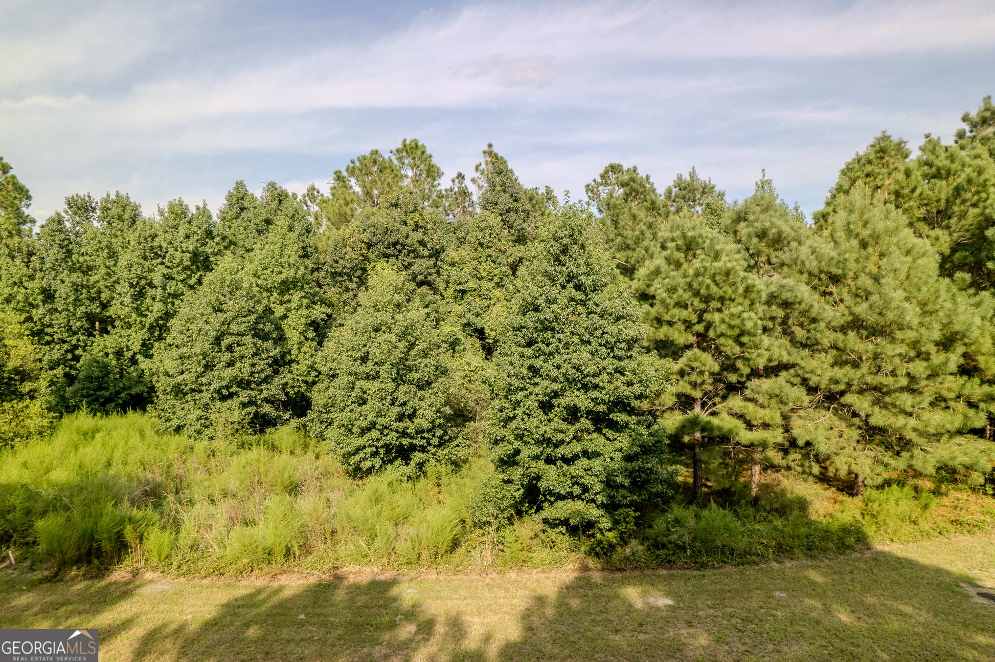 Lot 192 Bridge View Lane Waverly, GA 31565 - Photo 4 of 29