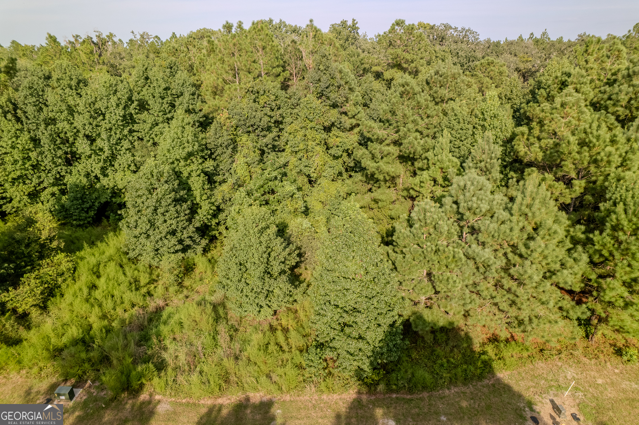 Lot 192 Bridge View Lane Waverly, GA 31565 - Photo 5 of 29