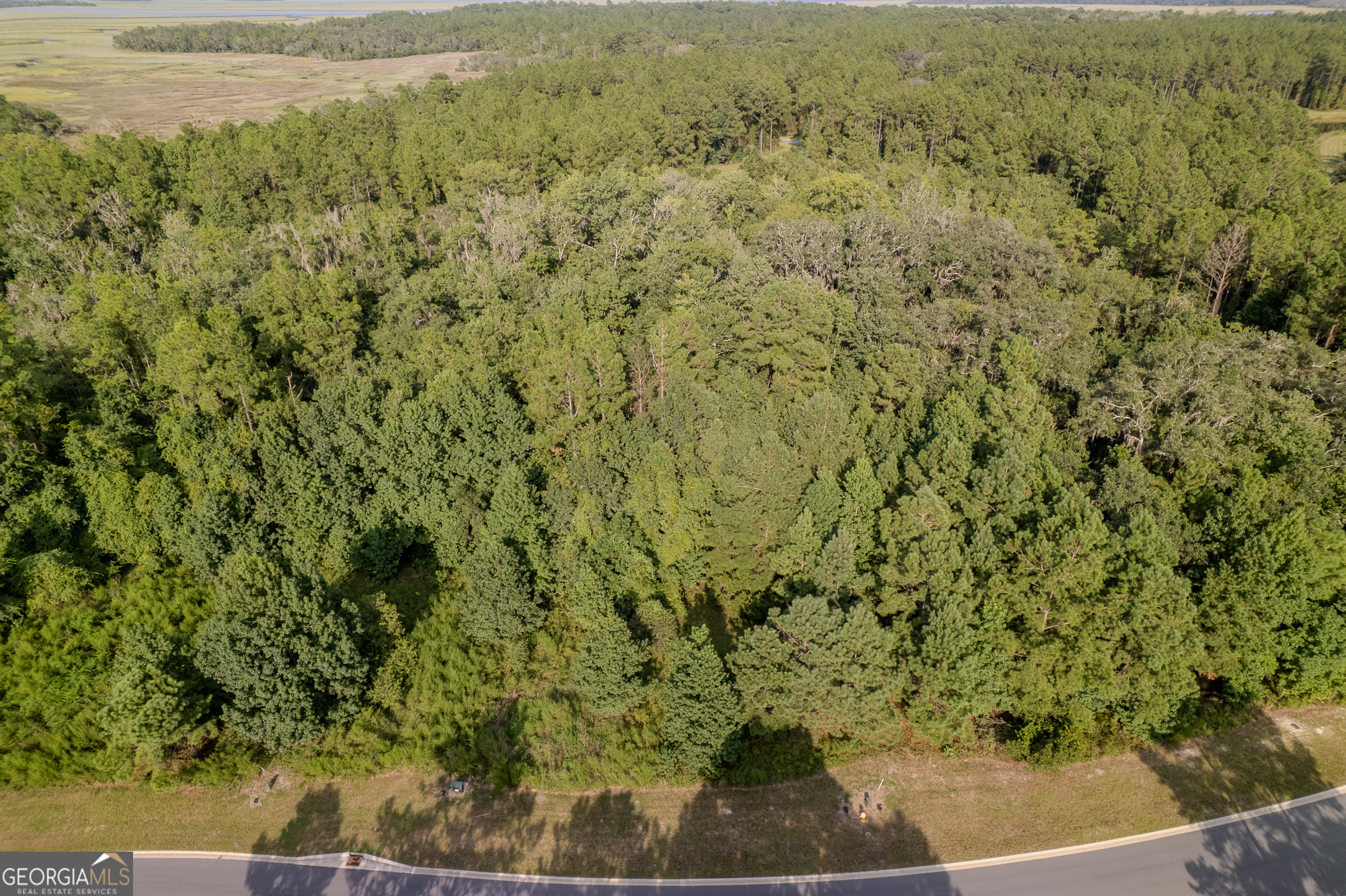 Lot 192 Bridge View Lane Waverly, GA 31565 - Photo 6 of 29