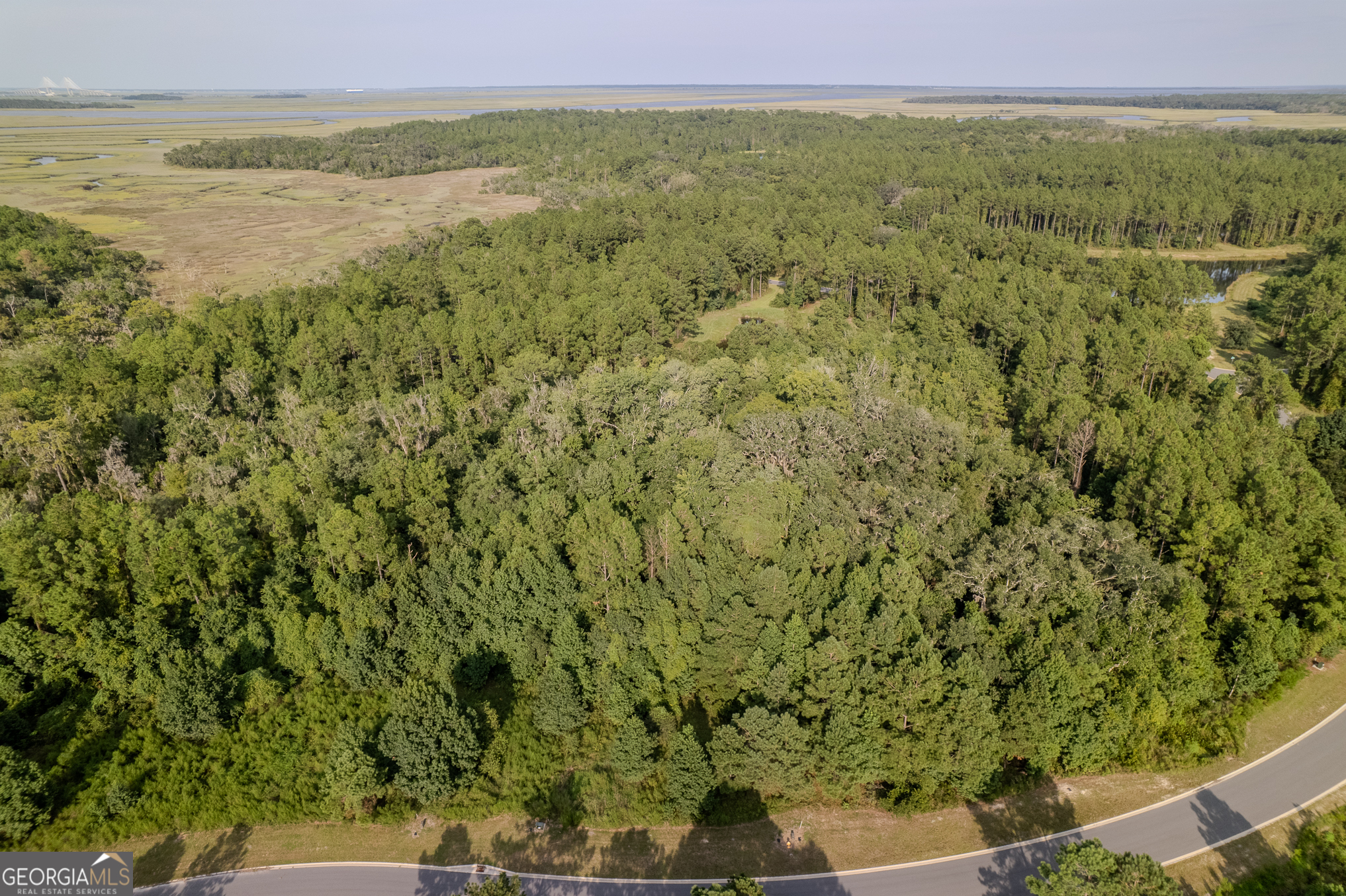 Lot 192 Bridge View Lane Waverly, GA 31565 - Photo 7 of 29