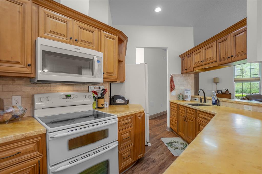 6479 West Candier Court Dunnellon, FL 34433 - Photo 12 of 75