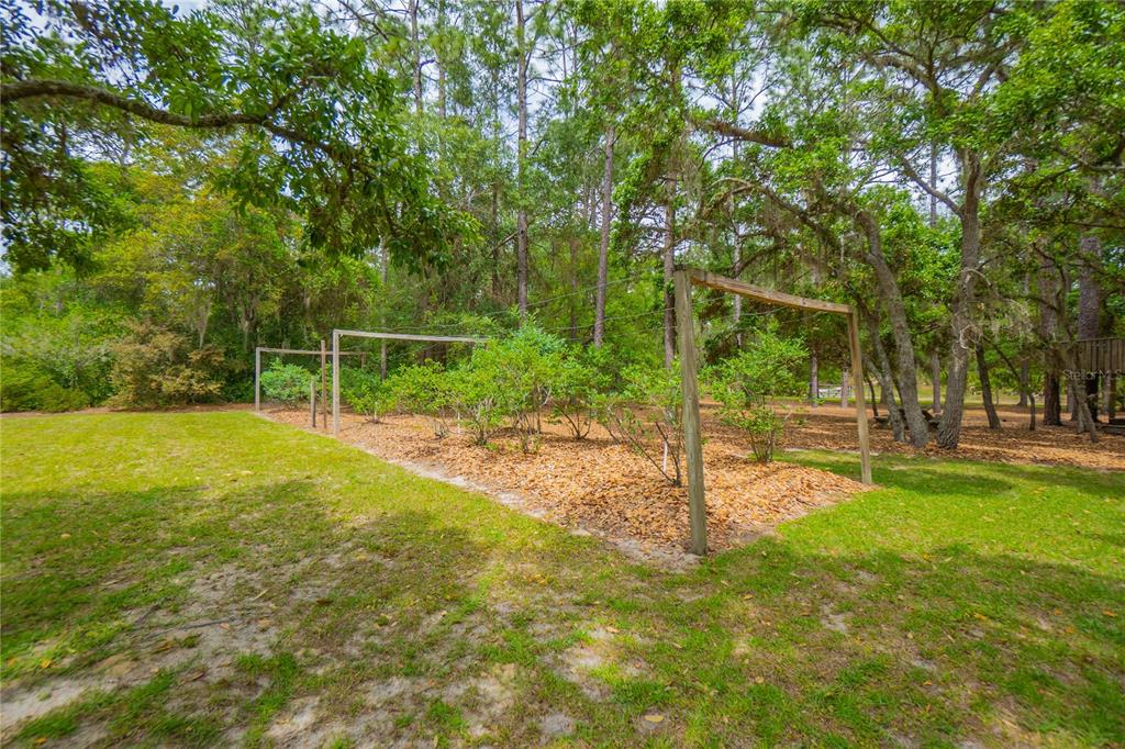 6479 West Candier Court Dunnellon, FL 34433 - Photo 29 of 75