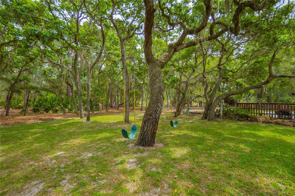 6479 West Candier Court Dunnellon, FL 34433 - Photo 30 of 75