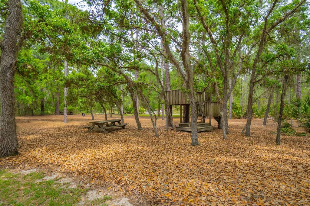 6479 West Candier Court Dunnellon, FL 34433 - Photo 31 of 75