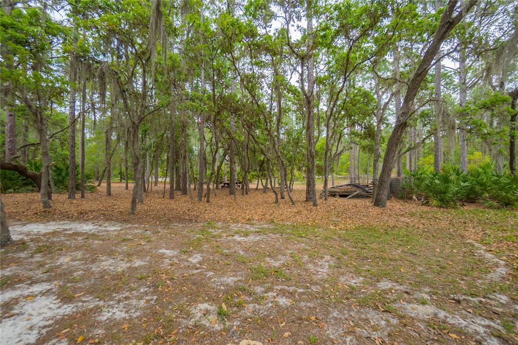 6479 West Candier Court Dunnellon, FL 34433 - Photo 43 of 75