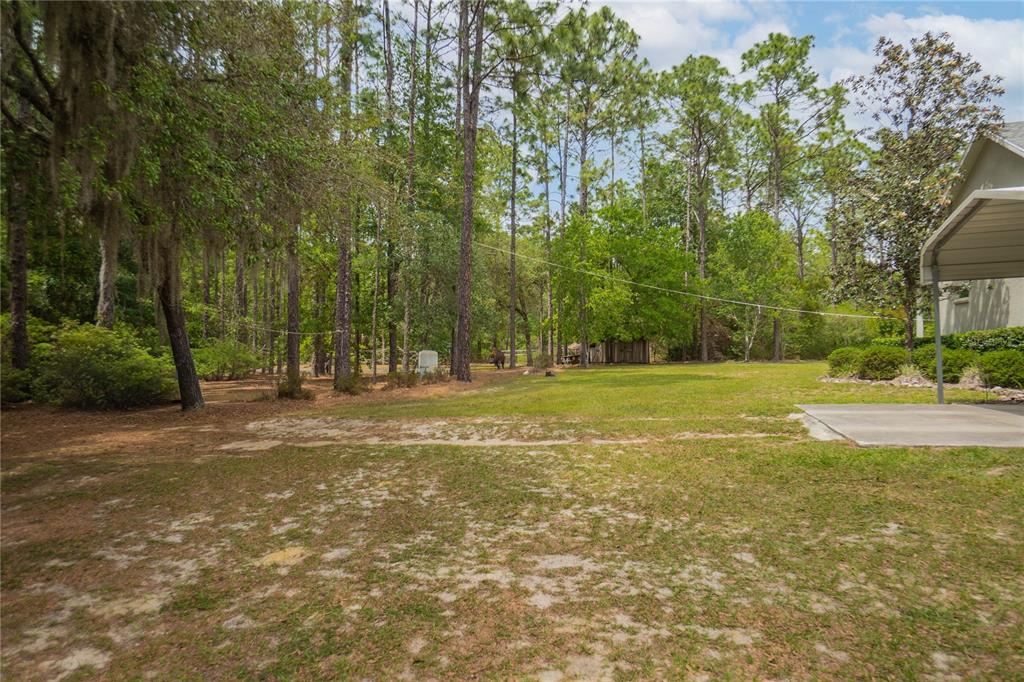 6479 West Candier Court Dunnellon, FL 34433 - Photo 50 of 75
