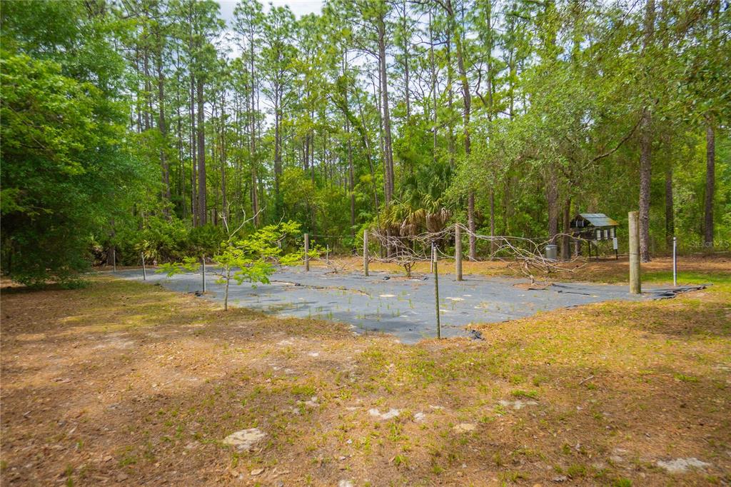 6479 West Candier Court Dunnellon, FL 34433 - Photo 56 of 75