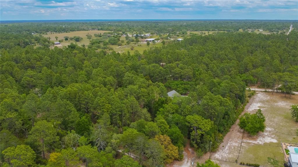 6479 West Candier Court Dunnellon, FL 34433 - Photo 62 of 75