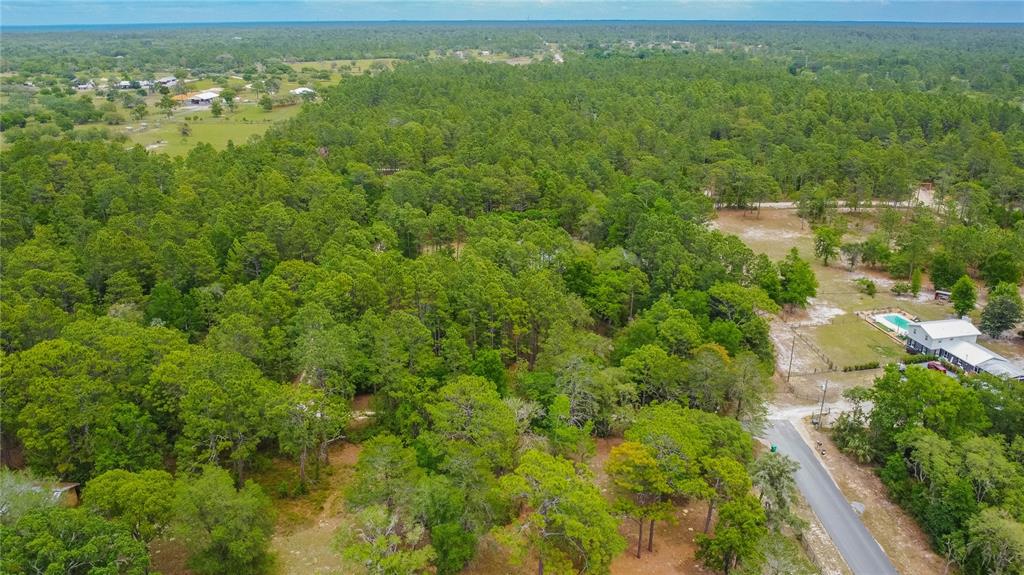 6479 West Candier Court Dunnellon, FL 34433 - Photo 63 of 75