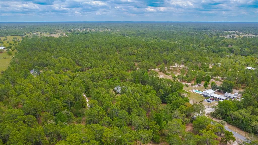 6479 West Candier Court Dunnellon, FL 34433 - Photo 64 of 75
