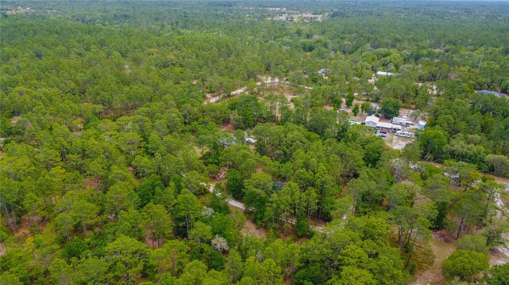 6479 West Candier Court Dunnellon, FL 34433 - Photo 65 of 75