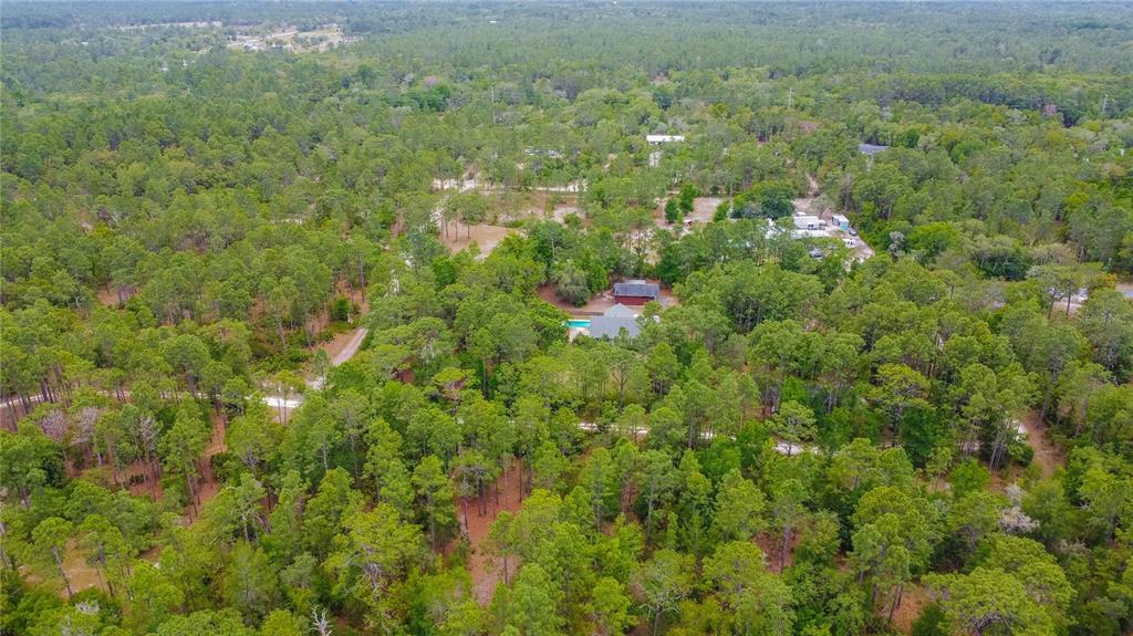 6479 West Candier Court Dunnellon, FL 34433 - Photo 66 of 75