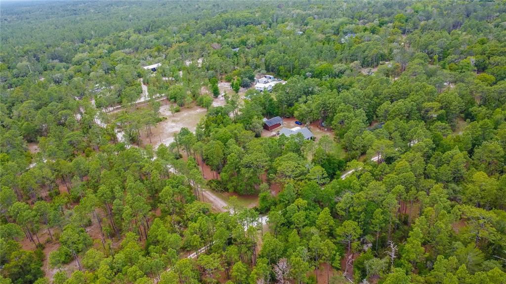 6479 West Candier Court Dunnellon, FL 34433 - Photo 68 of 75