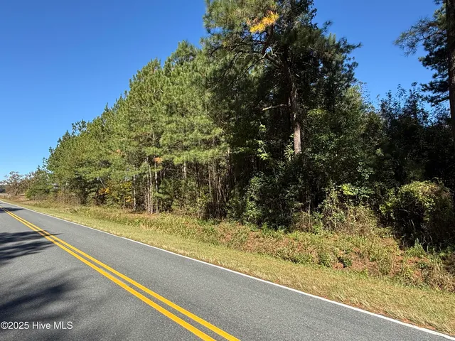 $27,000 | 1.78-acres Harrelson Road, Clarkton, NC 28433