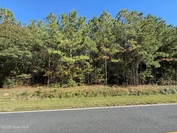 $27,000 | 1.78-acres Harrelson Road, Clarkton, NC 28433