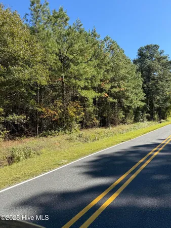 $27,000 | 1.78-acres Harrelson Road, Clarkton, NC 28433