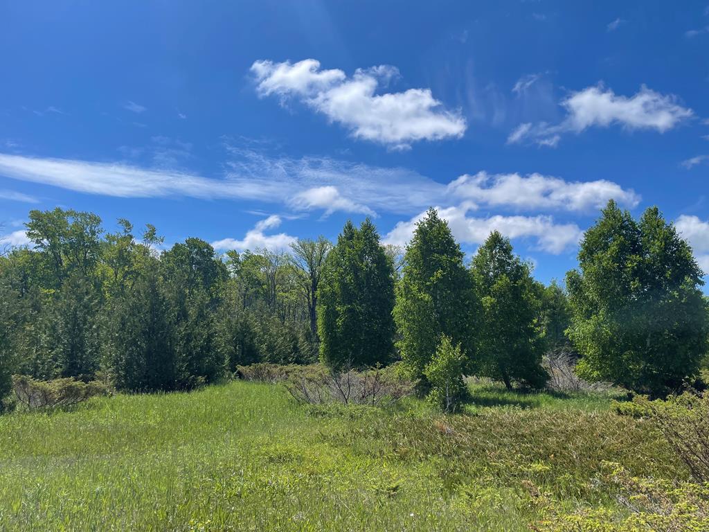 Tbd West Meadow Road Fish Creek, WI 54212 - Photo 7 of 10